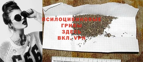 гашик Алексин