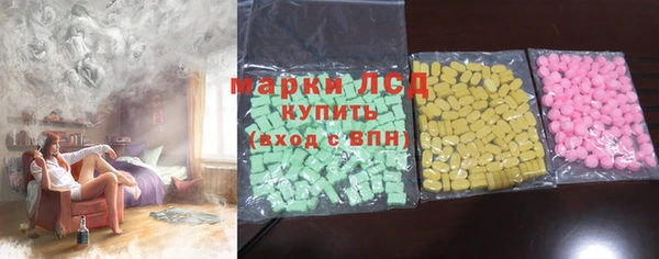 гашик Алексин