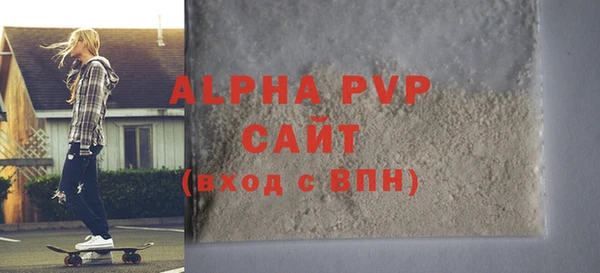 гашик Алексин