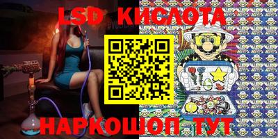 круглые Владимир