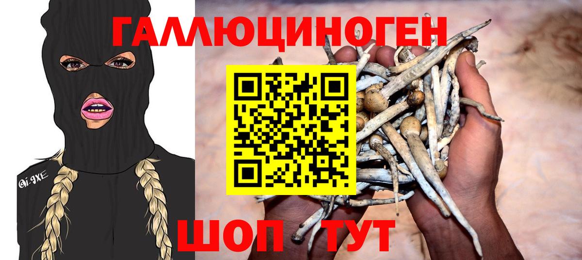 Барнаул  Псилоцибиновые грибы мухоморы  Галлюциногенные грибы ЛСД  Вход с VPN 
